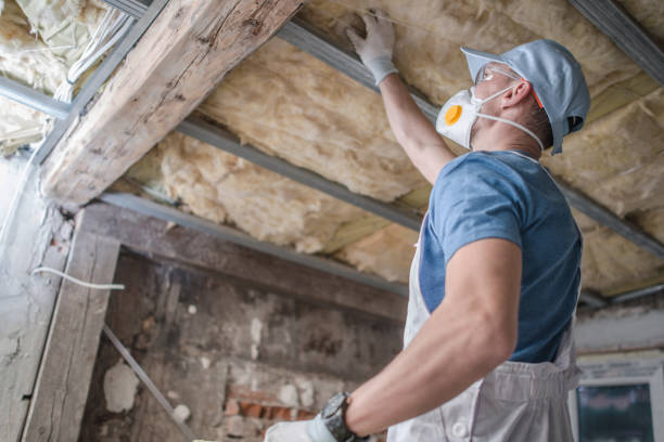 Best Insulation Installation Services in Hazelwood, MO