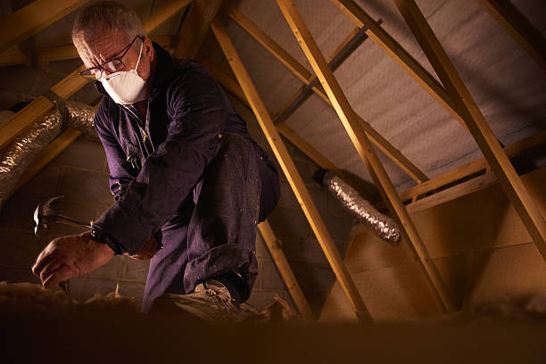 Best Insulation Maintenance and Repair in Hazelwood, MO